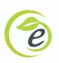 EMC Services